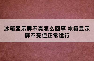 冰箱显示屏不亮怎么回事 冰箱显示屏不亮但正常运行